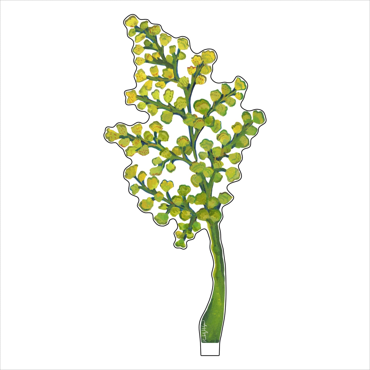 Maidenhair Fern Large Acrylic Flower