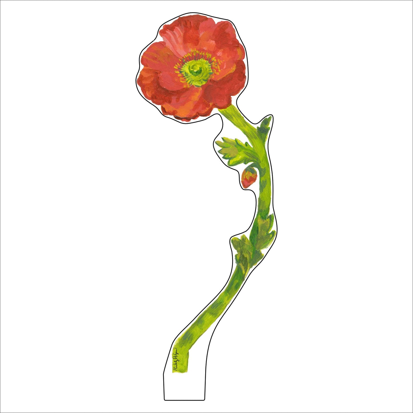 Red Iceland Poppy Large Acrylic Flower