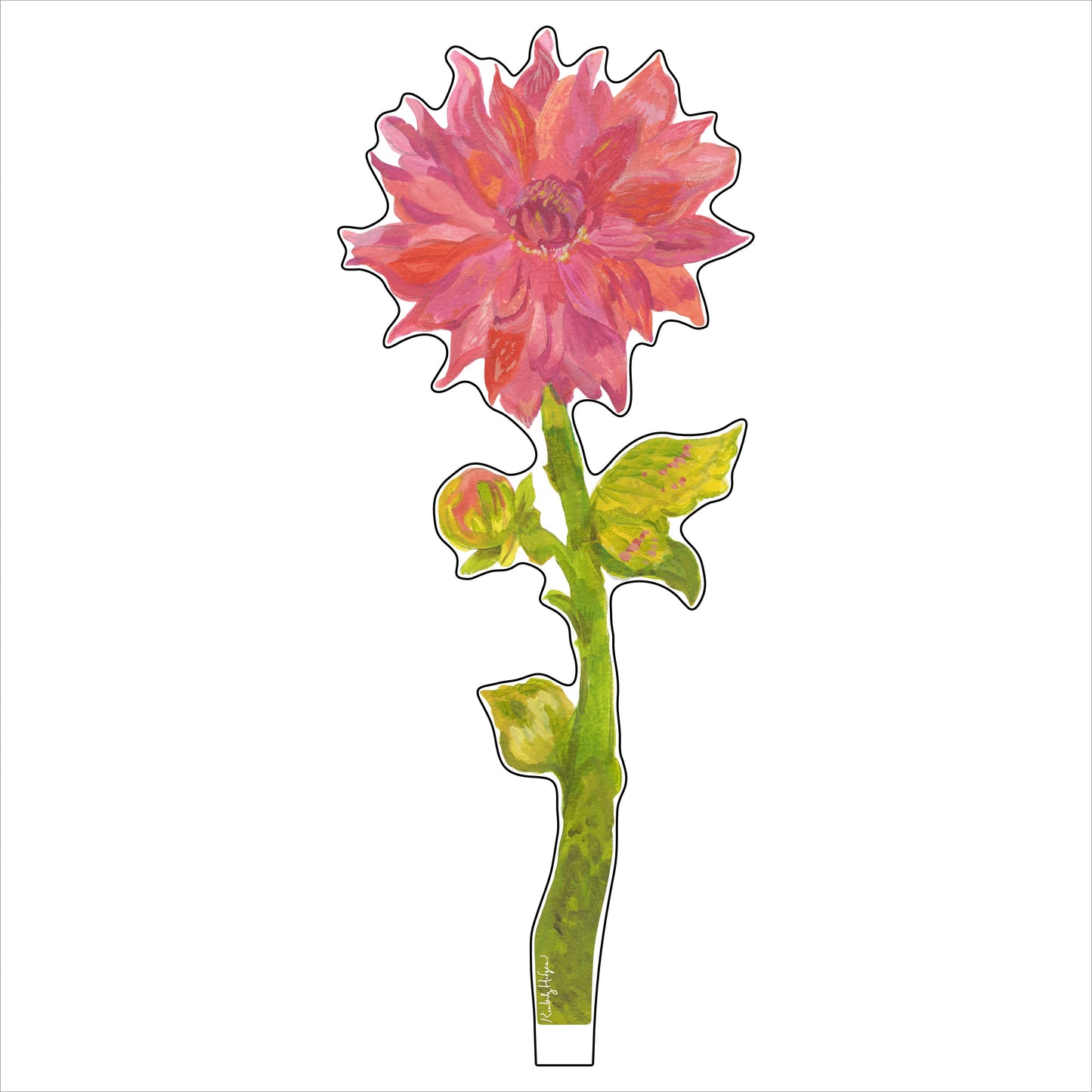 Sonic Bloom Dahlia Small Acrylic Flower