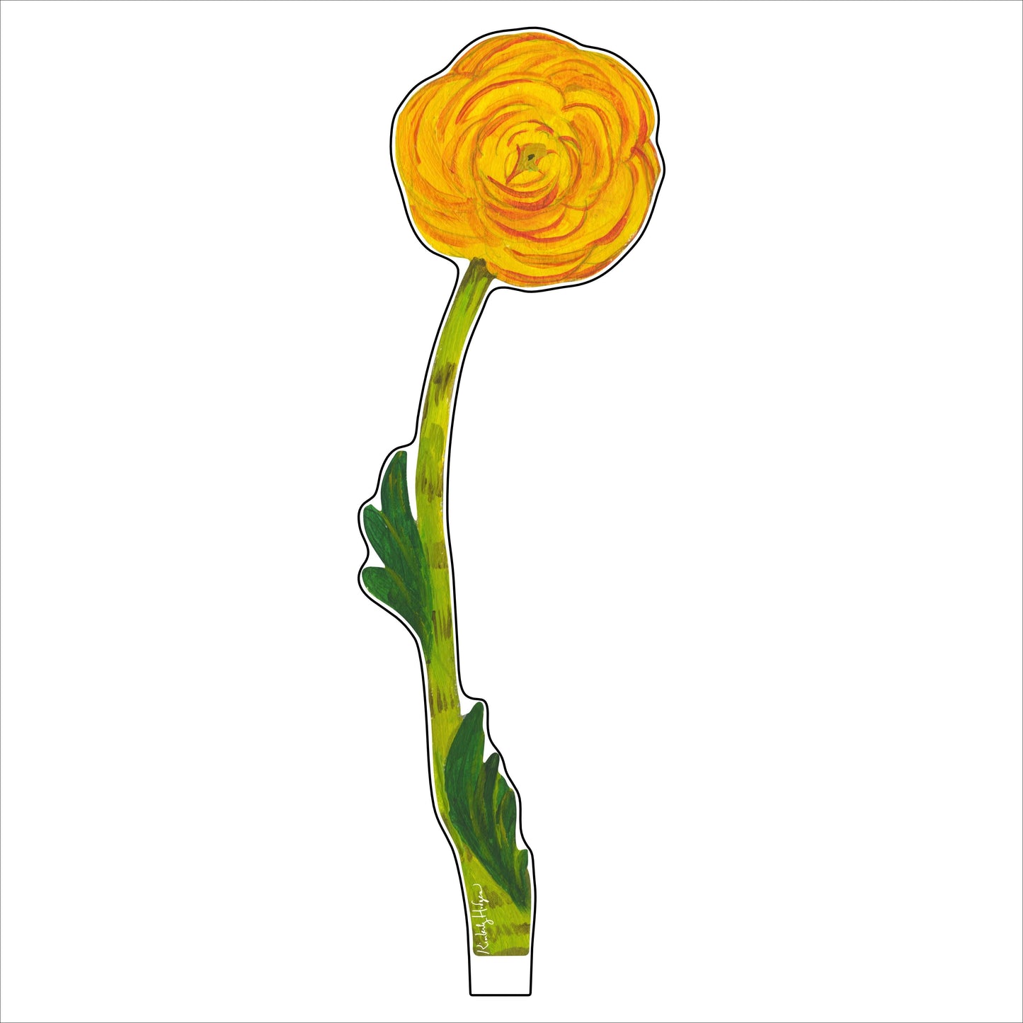 Yellow Ranunculus Large Acrylic Flower